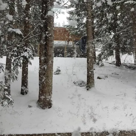 Appartamento Colic *